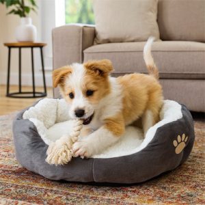 coussin chien moelleux