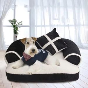 canapé chien hiver