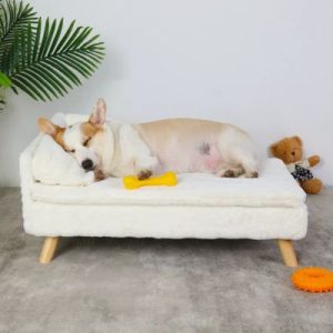 canapé lounge pour chien