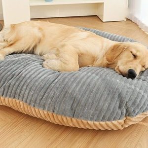 Coussin anti stress chien