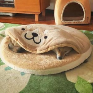 coussin anti-stress cachette
