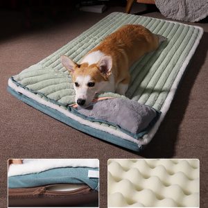 matelas pour chien confort