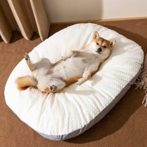 coussin chien confort