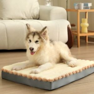 matelas déhoussable pour chien