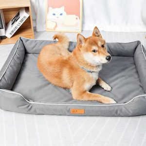 panier durable pour chien