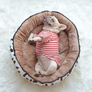 panier rond pour chiens