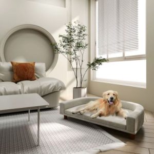 Fauteuil De Luxe Chien élégant