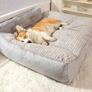 Lit Chien Confort et Design