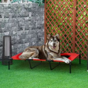 lit surélevé en toile pour chien