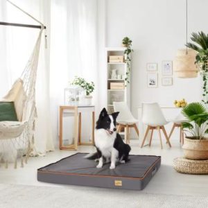 matelas de luxe pour chien