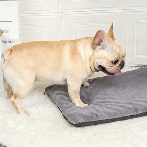 coussin pour chiens confortable