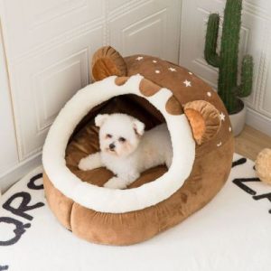 niche igloo oreilles