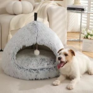 niche igloo intérieur grise