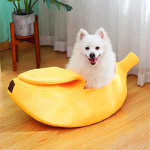 panier banane chien