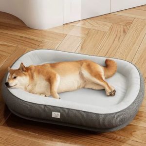 panier orthopédique chien