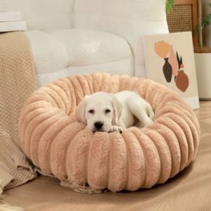 panier chien donut pêche