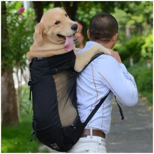 sac à dos chien