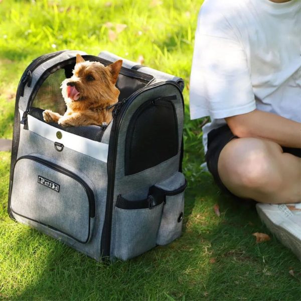 sac à dos pour petit chien