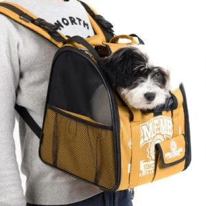 sac à dos pour petit chien