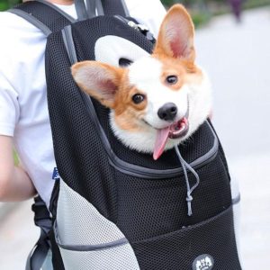 sac à dos sécurisant pour chien