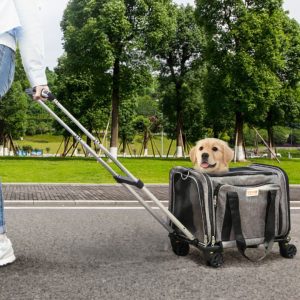 Sac de Transport à Roulettes Pour Chien