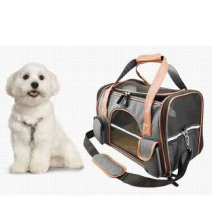 chien dans un transport à main