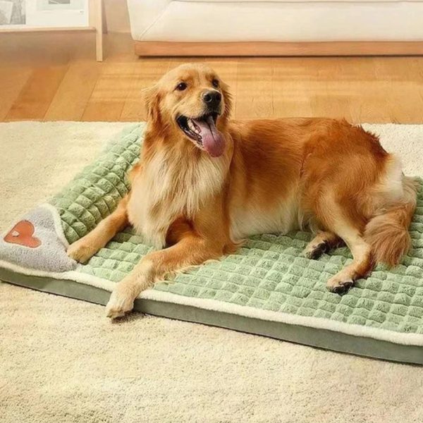 tapis chien fourré