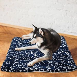 Tapis pour Chien Chauffant