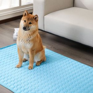 Tapis rafraîchissant pour chien