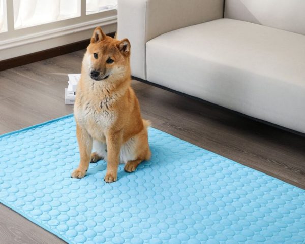 Tapis rafraîchissant pour chien