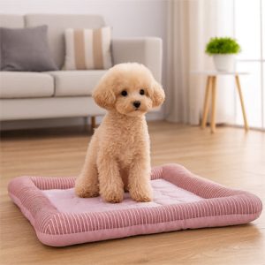 Tapis fraîcheur pour chien