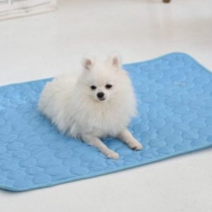 Tapis portable pour chien