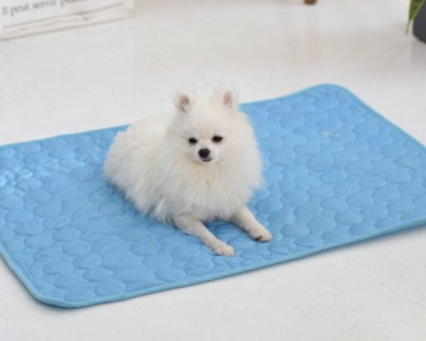 Tapis portable pour chien