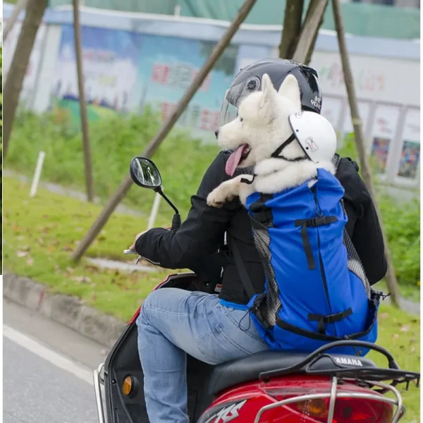 sac à dos pour chien