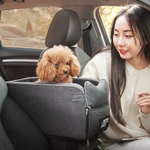 siège auto chien