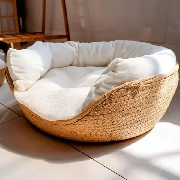 panier rotin chien