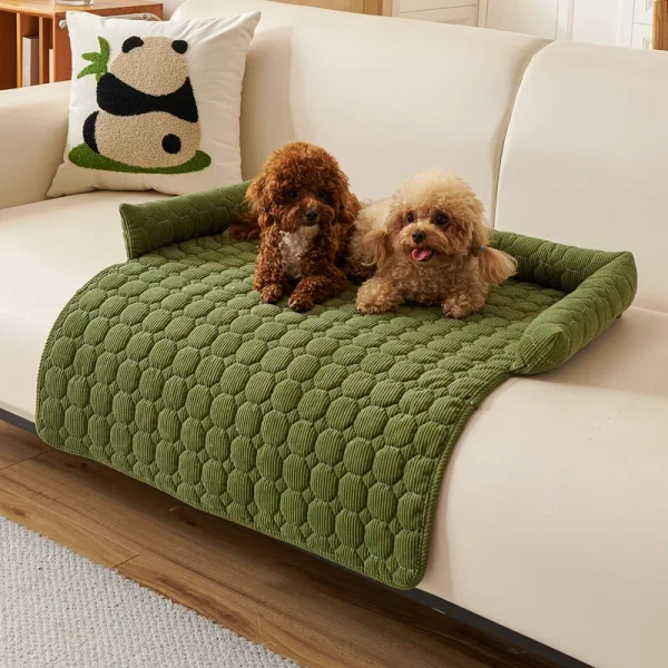 tapis pour chien canapé