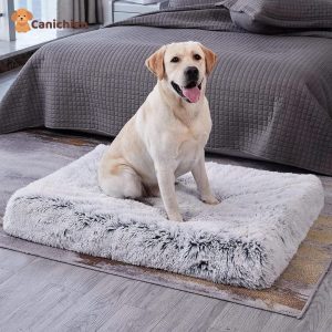 tapis pour chien fourré