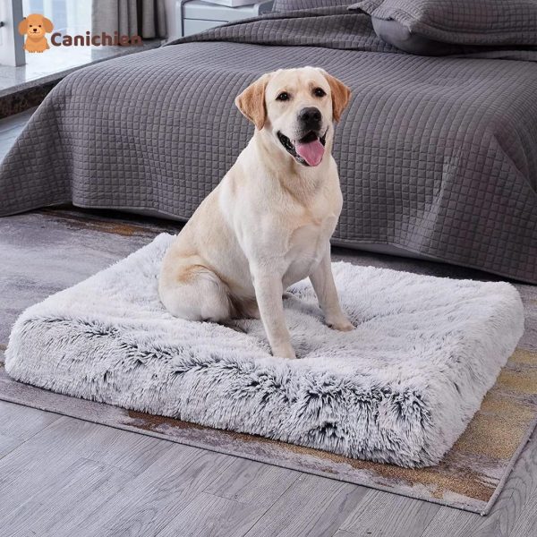 tapis pour chien fourré