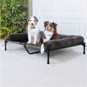 lit de camp pour chien