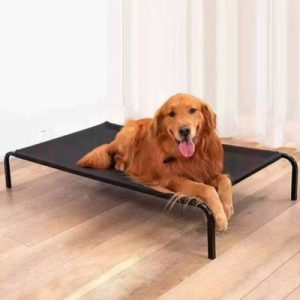lit surélevé pour chien