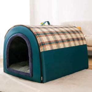 niche intérieur verte chien élégante