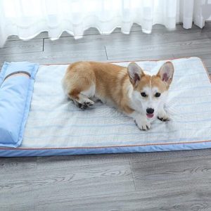 tapis rafraichissant pour chien