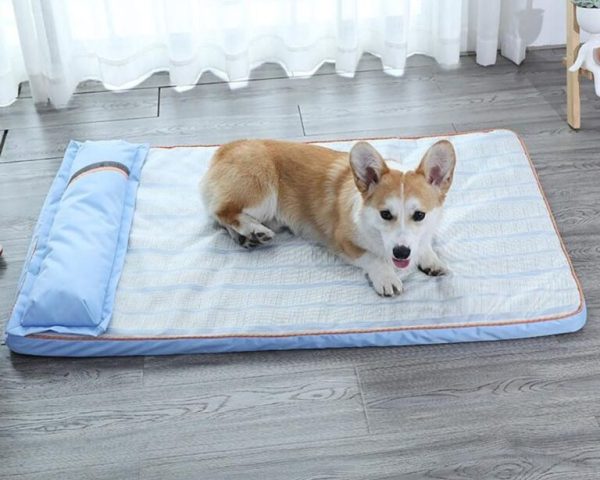 tapis rafraichissant pour chien